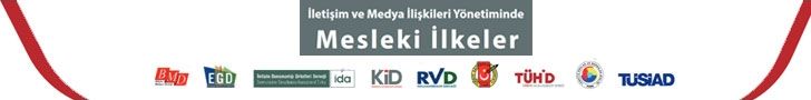 Mesleki İlkeler